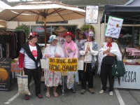 Raging Grannies