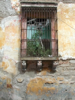 xela-window-guatemala