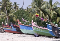 Kerala Fishing Boats