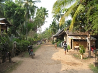 don-khon-island-laos
