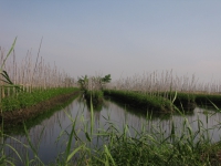 floating-gardens-inle-lake-myanmar