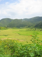 kyaukme_countryside