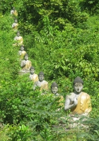 row_of_buddhas