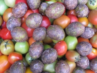 colorful-market-assortment-thailand