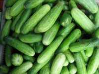 cucumbers-in-market-thailand