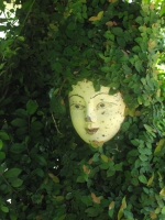 face_in_bush