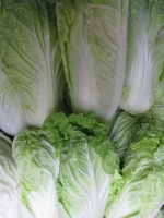 lettuce-on-dispay-thailand