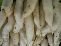 market-veggies-thailand-2