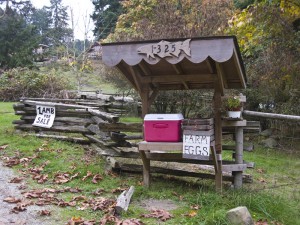 A roadside stand selling farm fresh eggs.